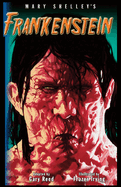 Frankenstein:  The Graphic Novel